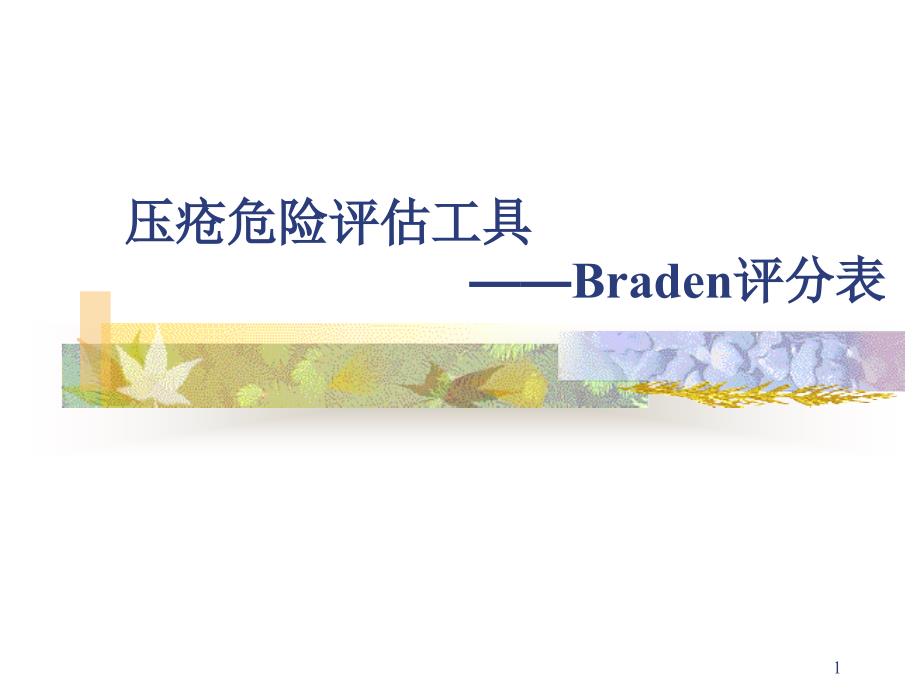 Braden评分表PPT演示课件_第1页