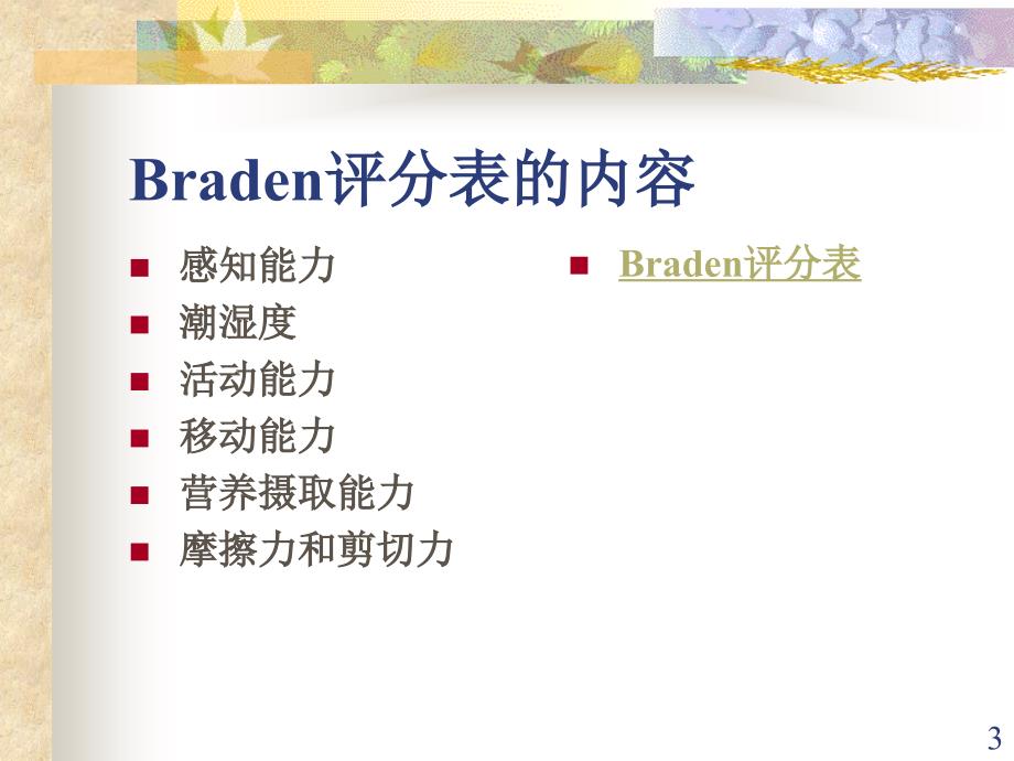 Braden评分表PPT演示课件_第3页