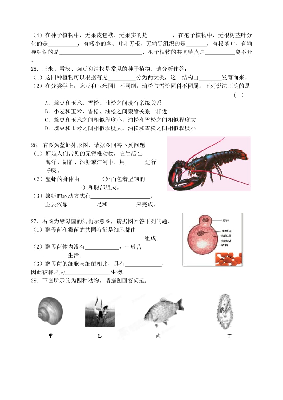 江苏省南京市溧水县孔镇中学2020年八年级生物上册 第14、15章单元综合检测（无答案） 苏科版_第4页