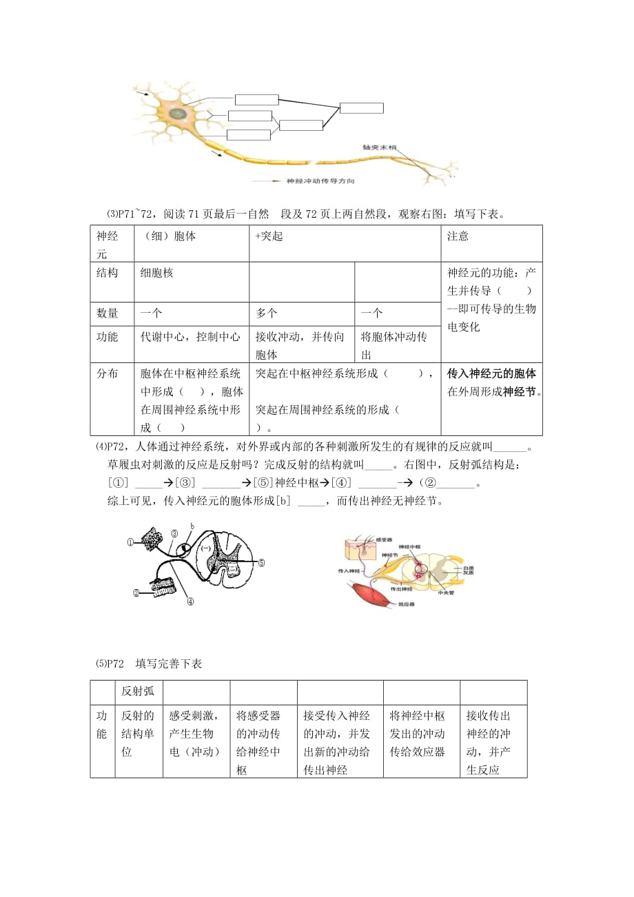 2020年春七年级生物下册 12.1《神经系统与神经调节》学案（无答案）（新版）北师大版_第2页