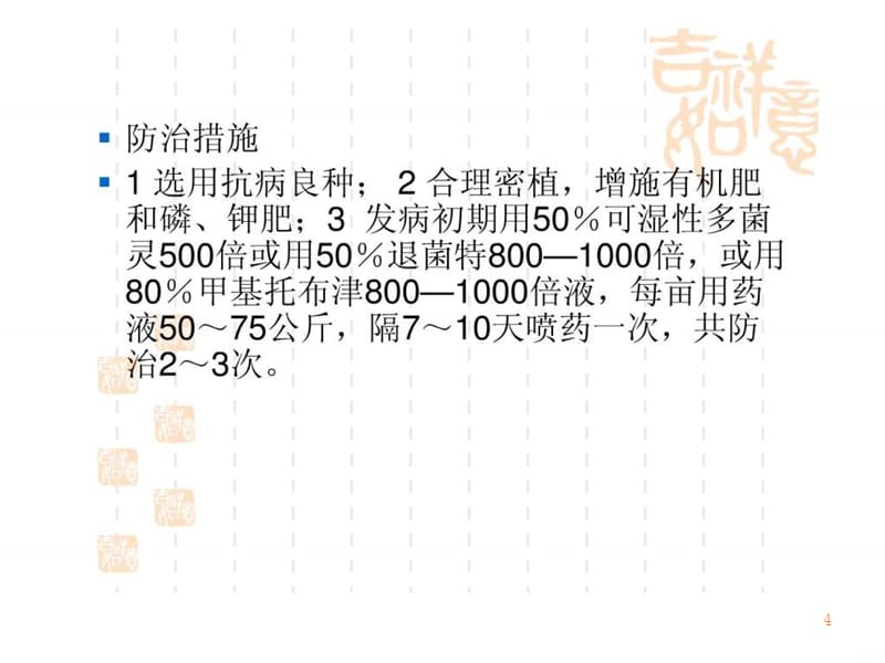 玉米病虫害及防治PPT课件_第4页