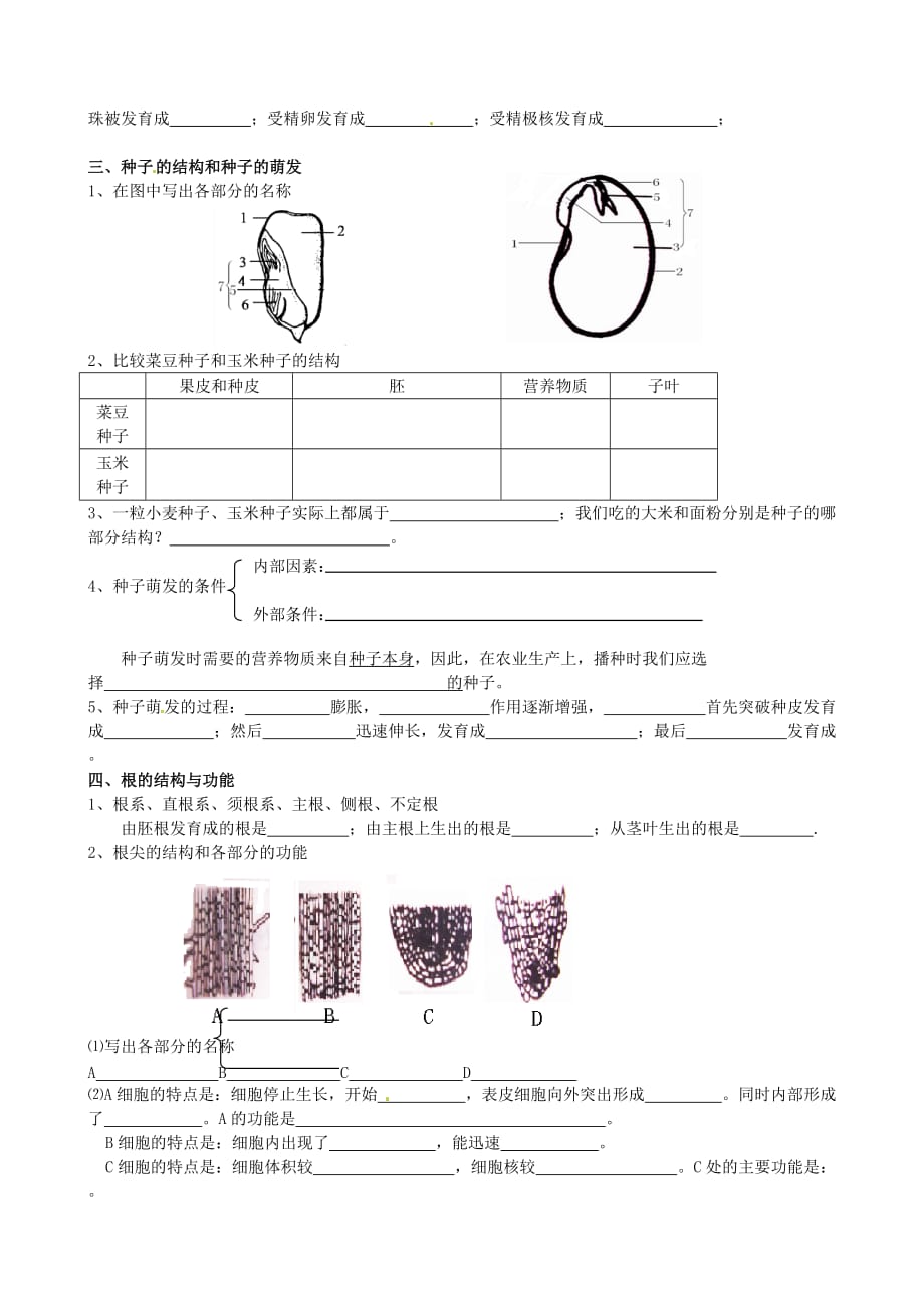 山东省高密市银鹰八年级生物上册《第一章 绿色植物的一生》绿色开花植物的一生复习学案（无答案） 济南版_第2页