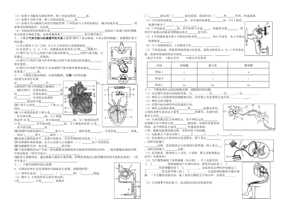 2020学年中考生物 七下 复习资料 识图题（无答案）_第2页