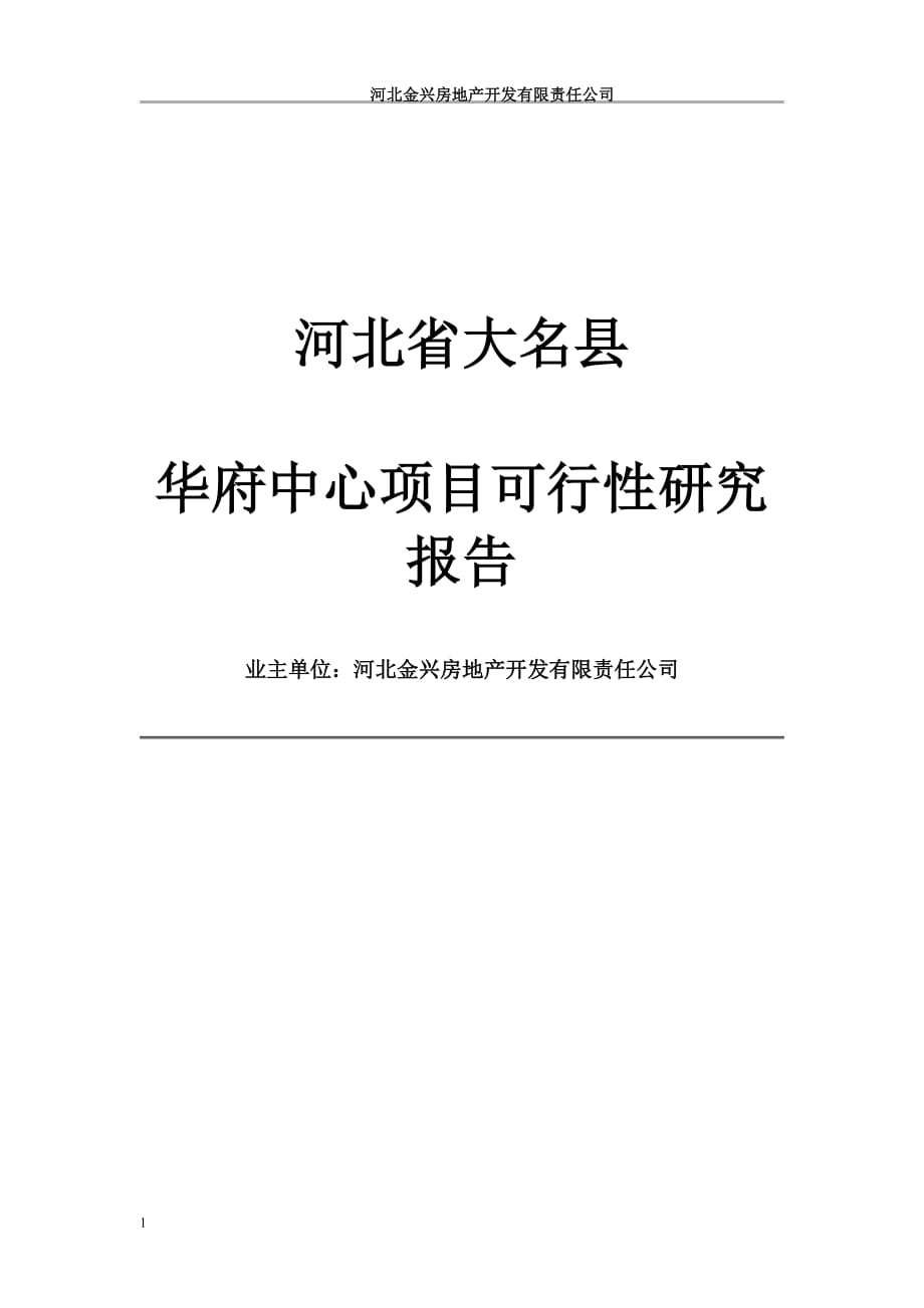 大名县华府中心可行性研究报告文章讲解材料_第1页