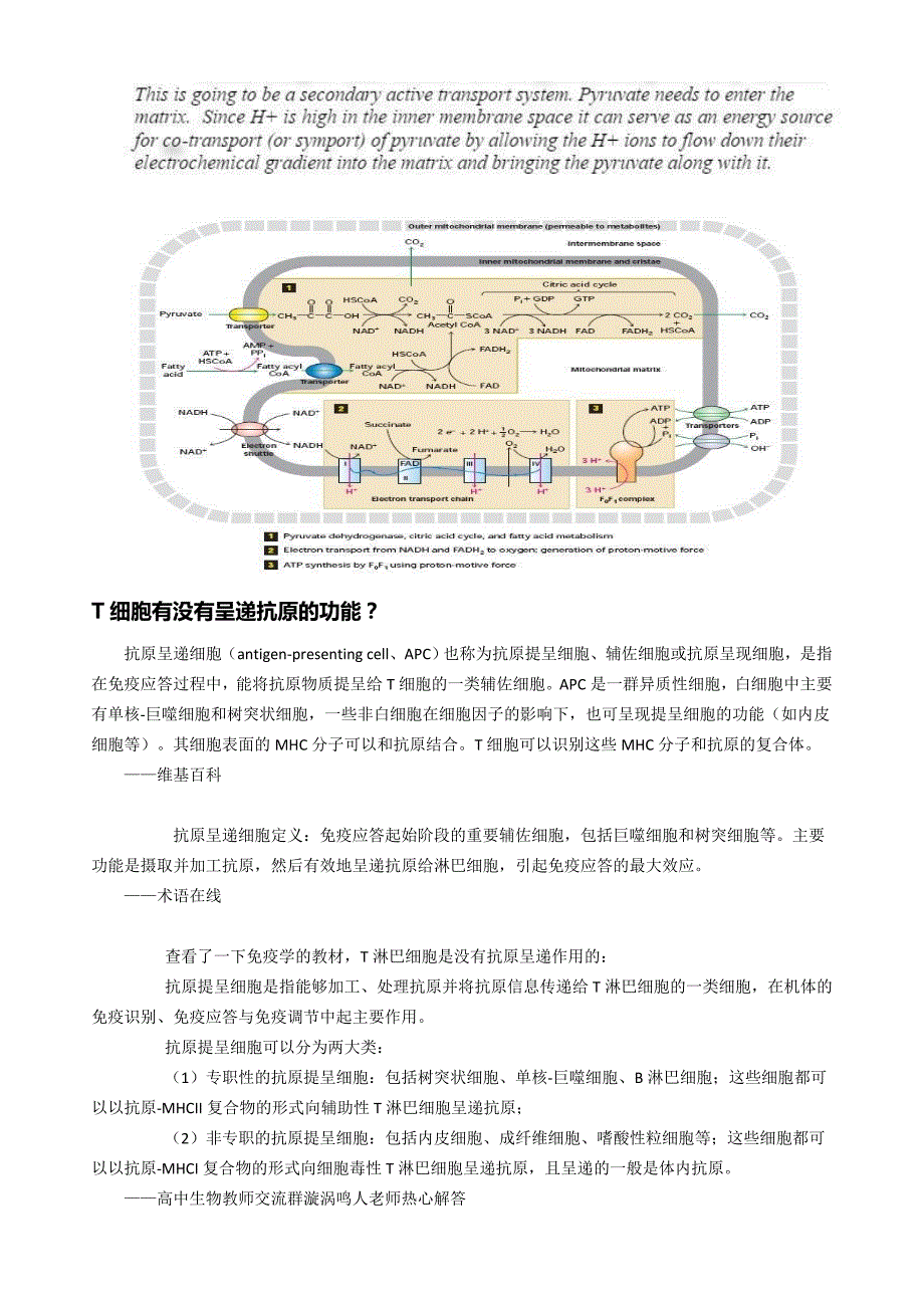 捕食与寄生的区别.doc_第4页