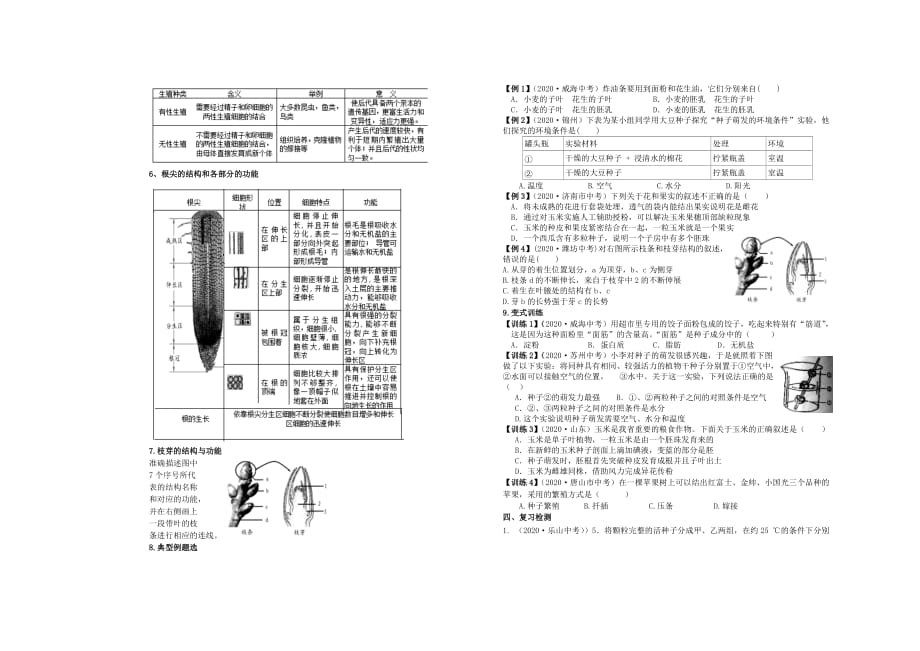 七年级生物上册 绿色开花植物的一生复习导学案（无答案） 济南版_第2页