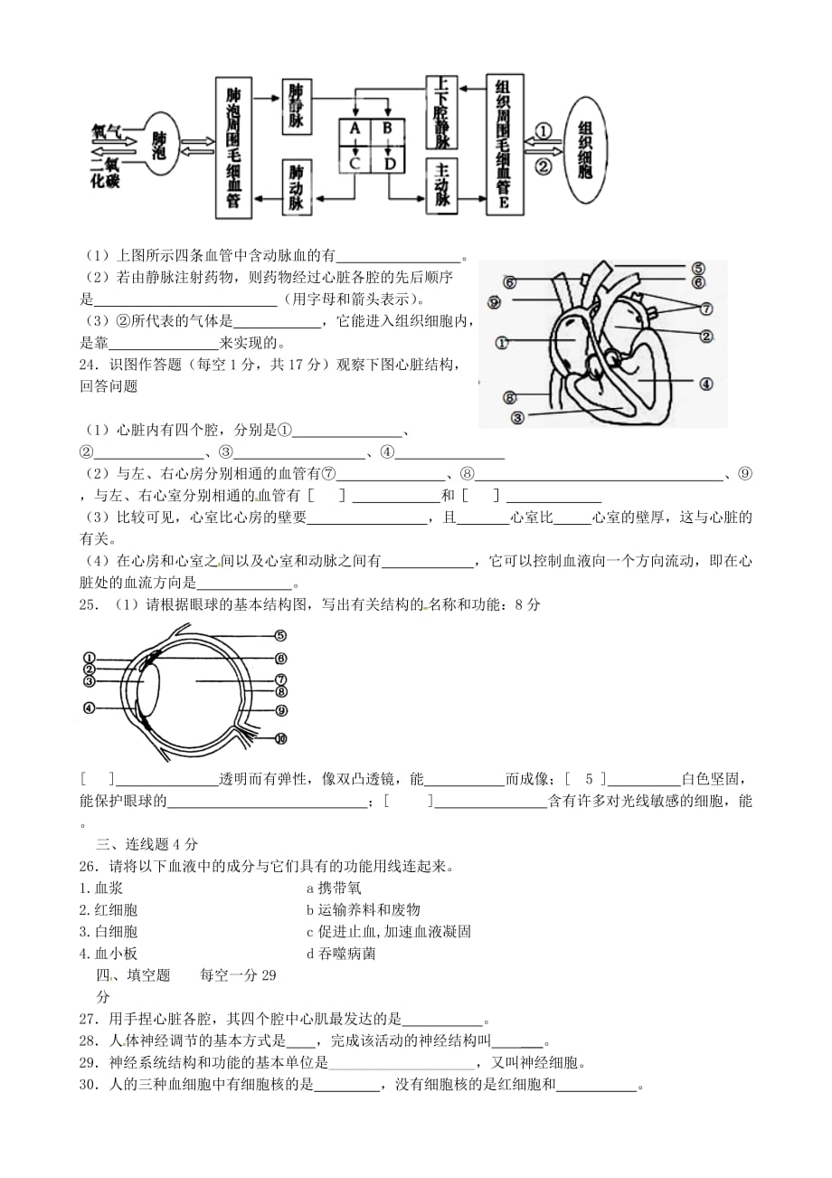 甘肃省定西市渭源县新寨中学2020学年七年级生物下学期第二阶段考试试题（无答案） 新人教版_第3页