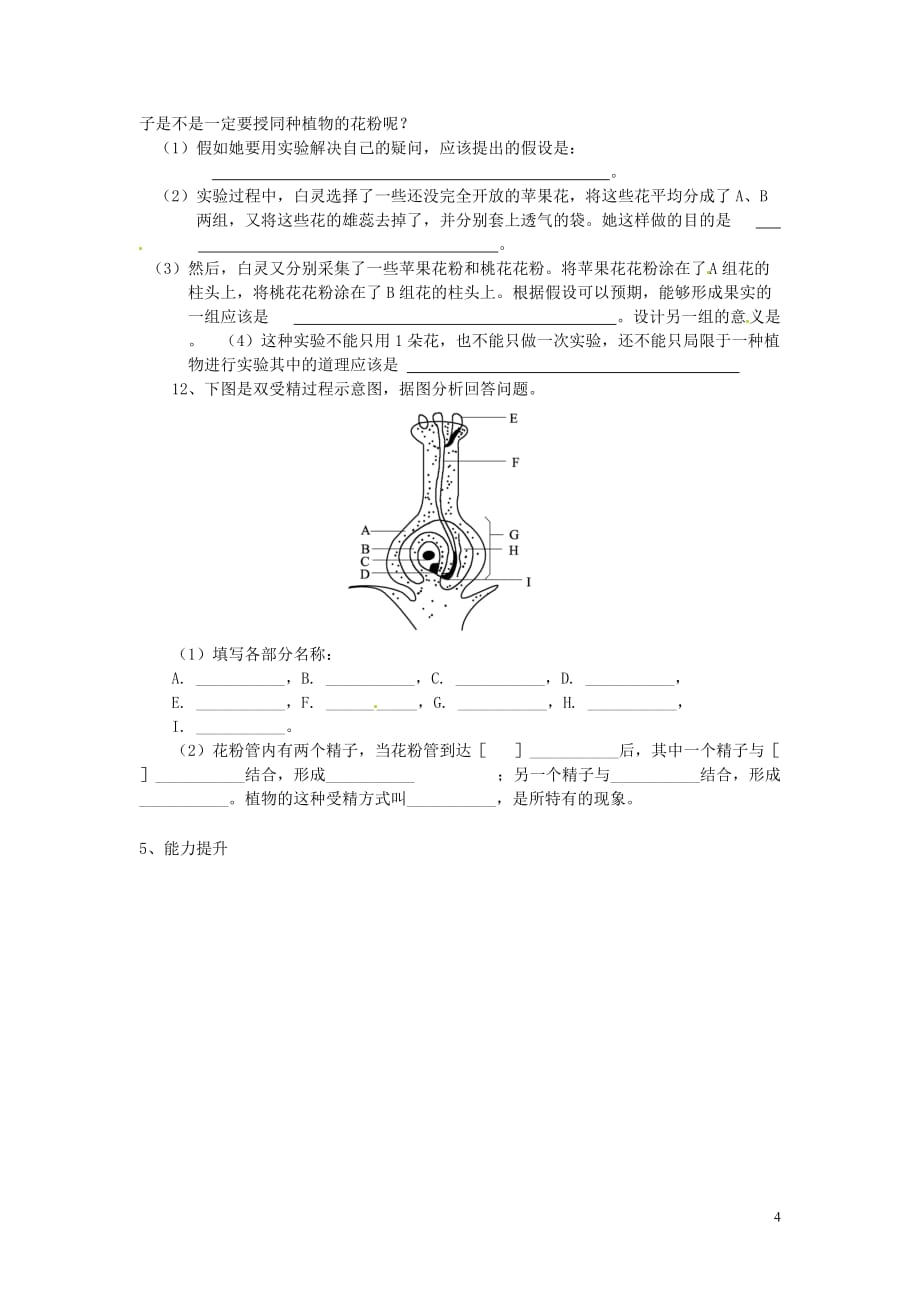 山东省单县希望初级中学八年级生物上册4.1.2传粉和受精（第2课时）学案（无答案）济南版_第4页