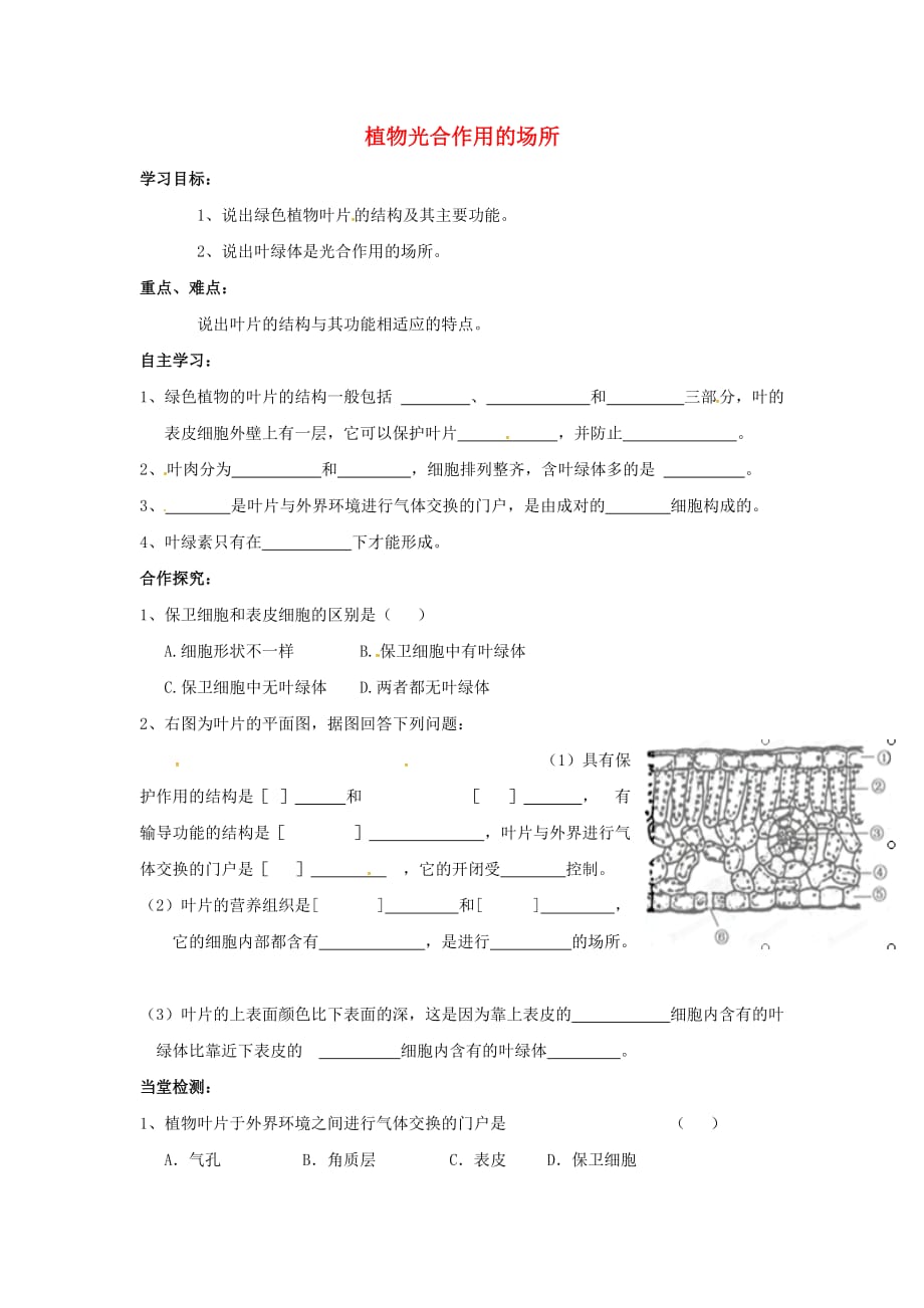 山西省垣曲县华峰初级中学七年级生物上册 3.6.2 植物光合作用的场所导学案（无答案）（新版）苏教版_第1页