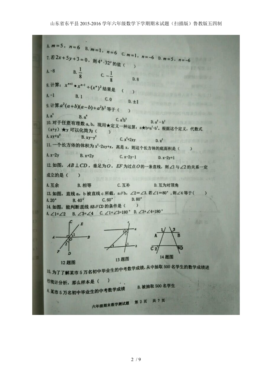 山东省东平县六年级数学下学期期末试题（扫描版）鲁教版五四制_第2页
