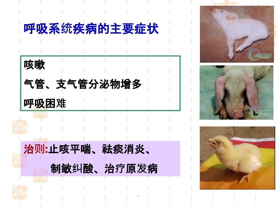 药理学第六章呼吸系统药理ppt课件_第2页