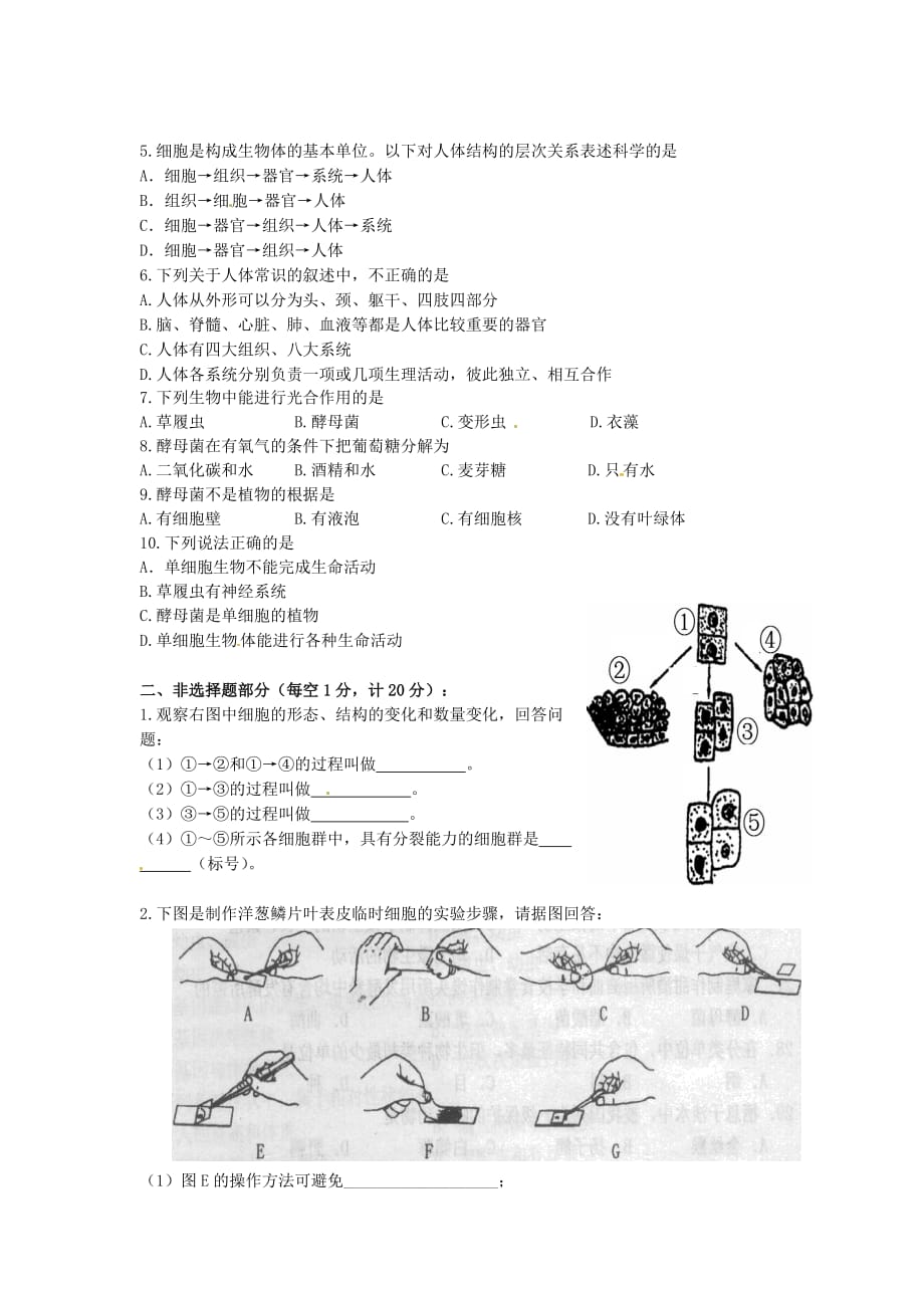 江苏省新沂市2020学年七年级生物第一次月考试题（无答案）_第2页