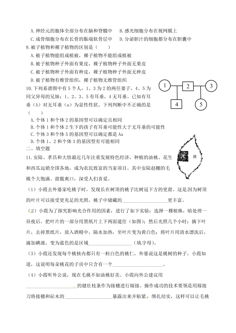 湖北省孝感市孝南区肖港初级中学2020届九年级生物下学期练习题（三）（无答案） 新人教版_第2页