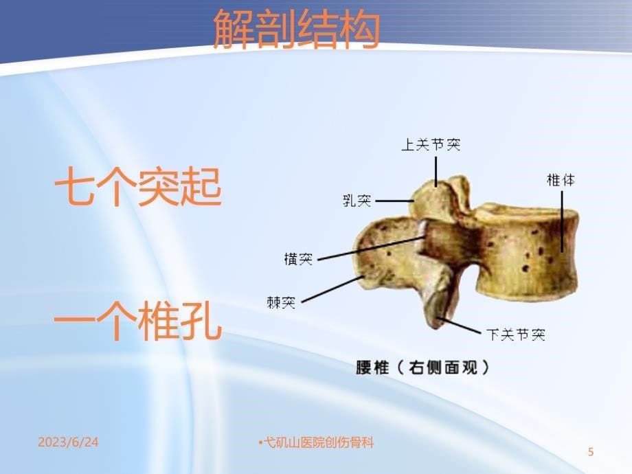 腰椎骨折护理查房PPT课件_第5页