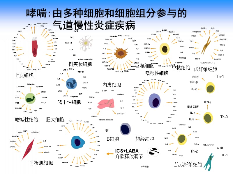 哮喘的诊断、严重程度分级和治疗PPT演示课件_第4页