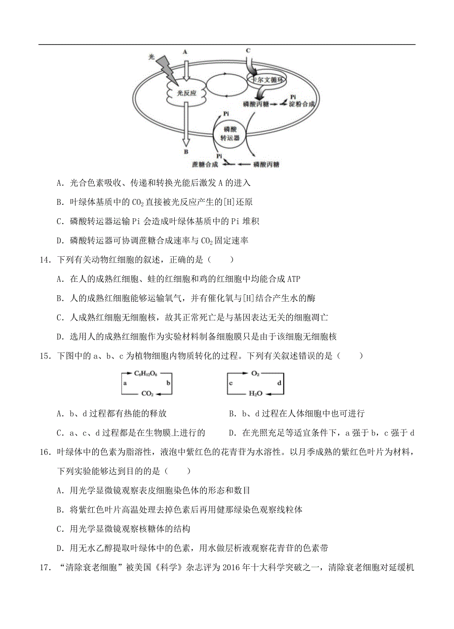 湖北省荆门市龙泉中学2020届高三9月联考生物（含答案）.doc_第4页