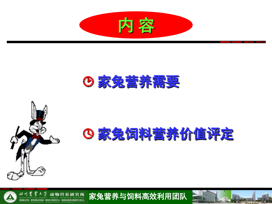 家兔营养需要与 价值评定.ppt_第3页