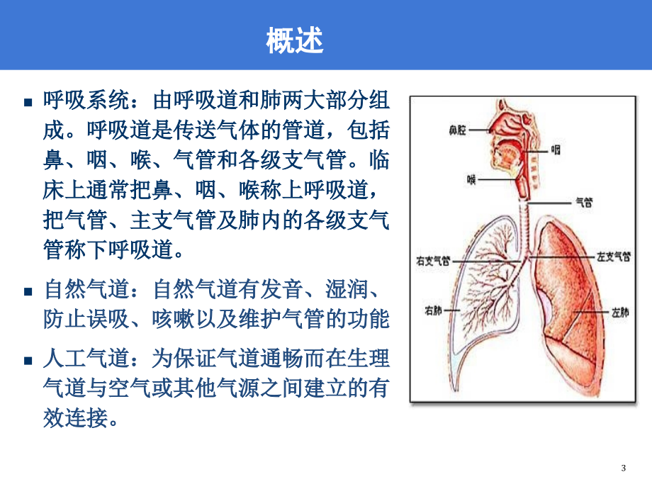 重症患者气道管理0PPT演示课件_第3页