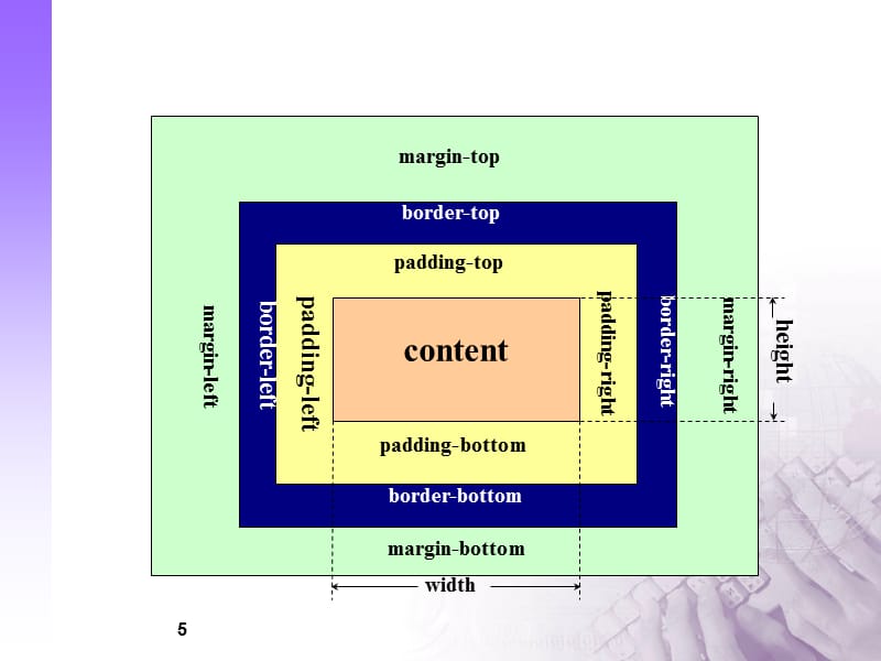 CSS的盒子模型PPT课件_第5页