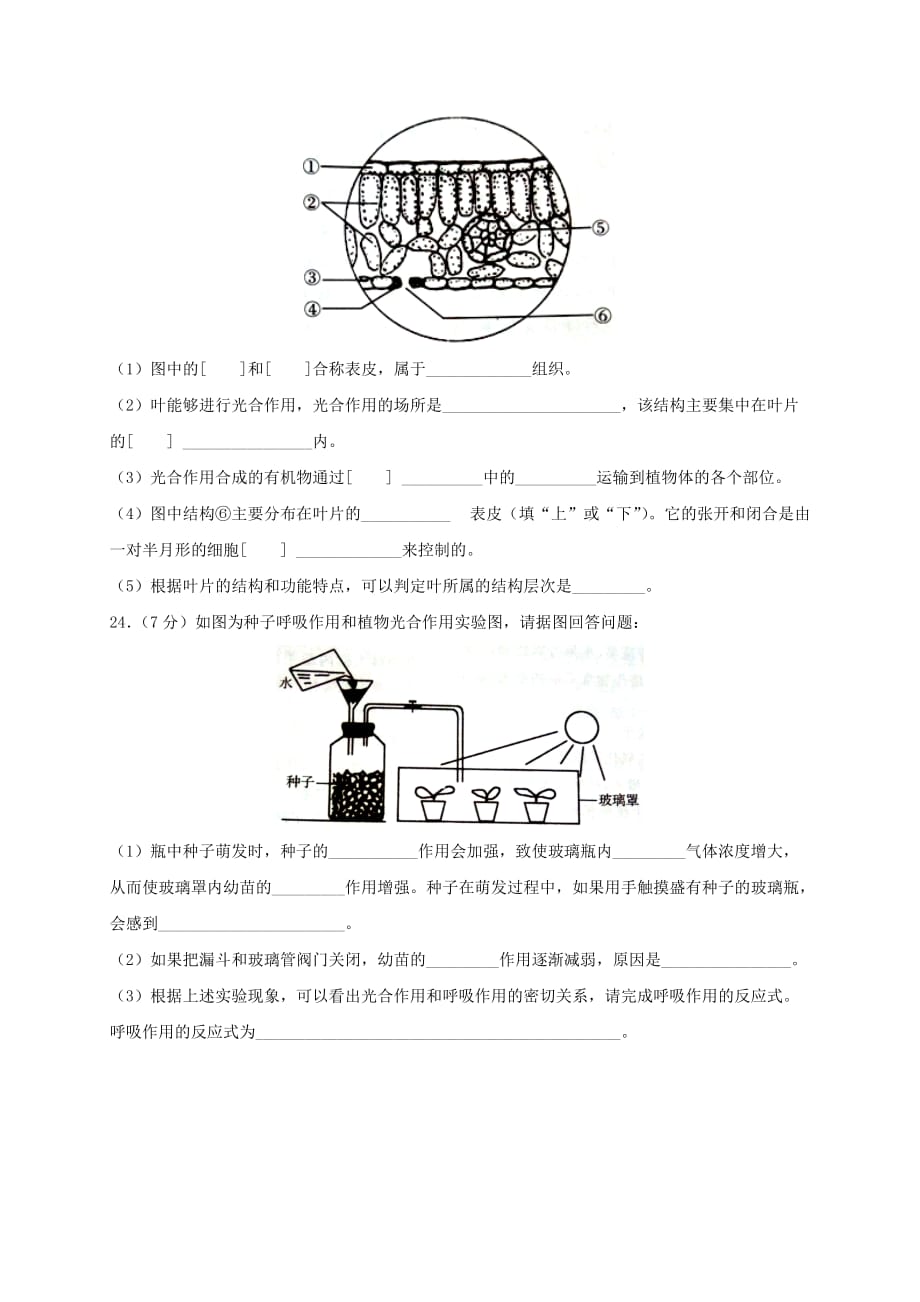 河南省周口市西华县2020学年七年级生物上学期期末考试试题 新人教版_第4页