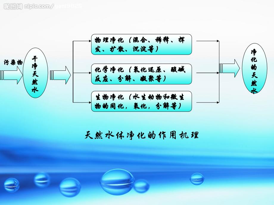 水污染及其成因自制.ppt_第4页