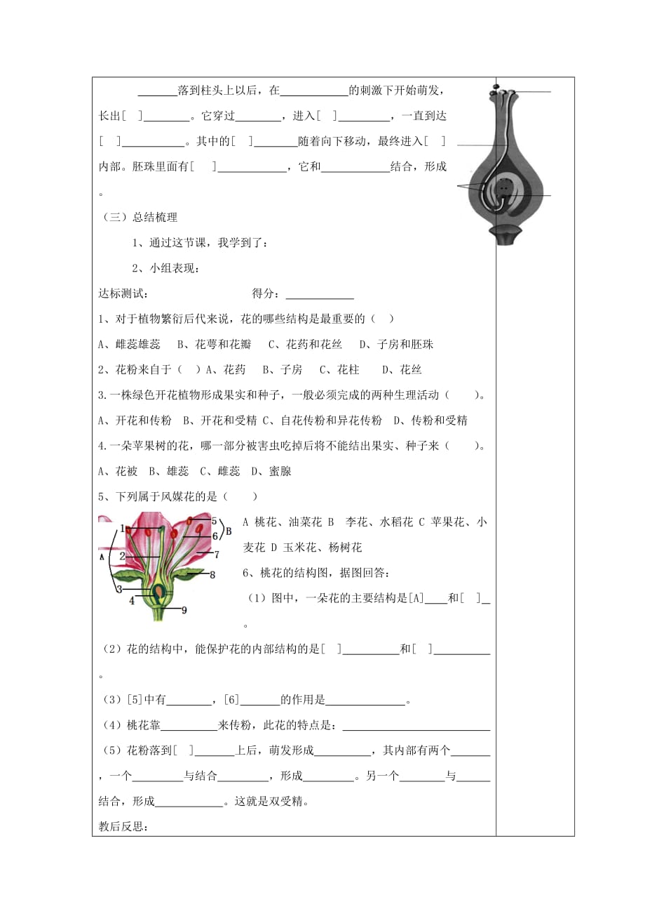 河北省唐山市青坨营镇初级中学七年级生物上册 3.2.3 开花和结果导学案2（无答案）（新版）新人教版_第3页