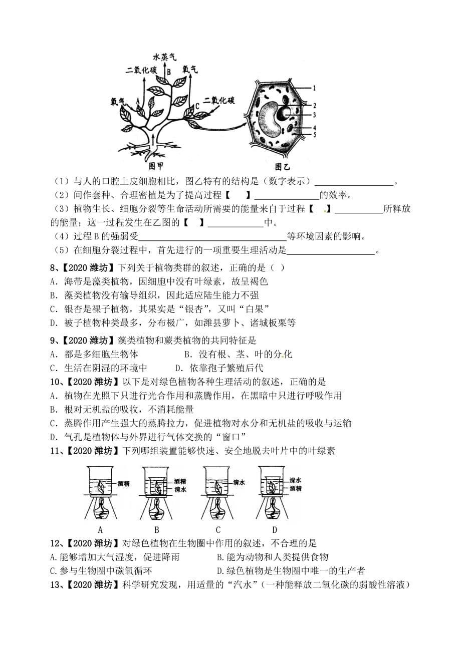 山东省高密市银鹰七年级生物上册 绿色植物复习学案（无答案）_第5页