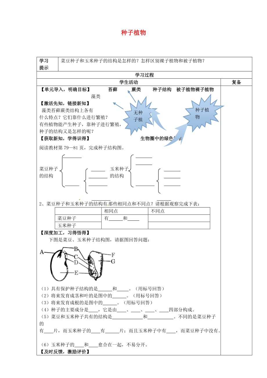 河北省唐山市钱营学校七年级生物上册 3.1.2 种子植物学案（无答案）（新版）新人教版_第1页