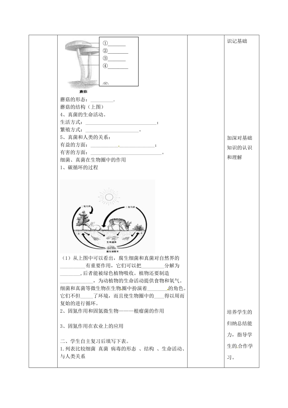 2020年秋七年级生物上册 3.2 生物圈中的微生物（第二课时）复习教学案（无答案）（新版）济南版_第4页