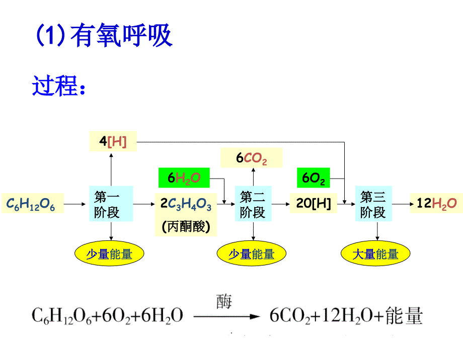 有氧呼吸和无氧呼吸及影响因素_第2页