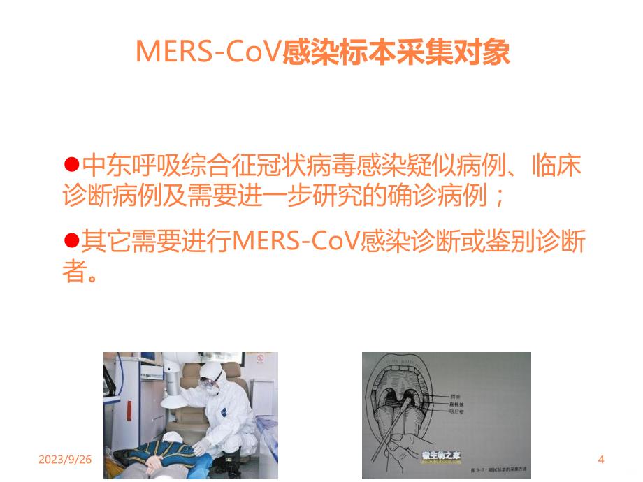 中东呼吸综合征冠状病毒(MERS-CoV)实验室检测ppt课件_第4页