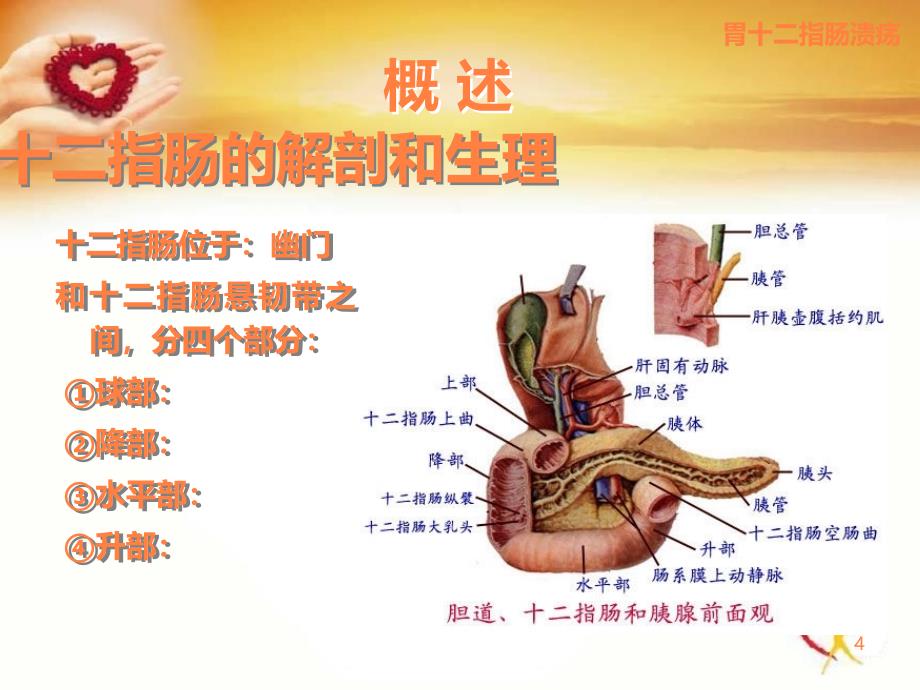 学习课件第四节胃十二指肠病人的护理修改ppt课件_第4页