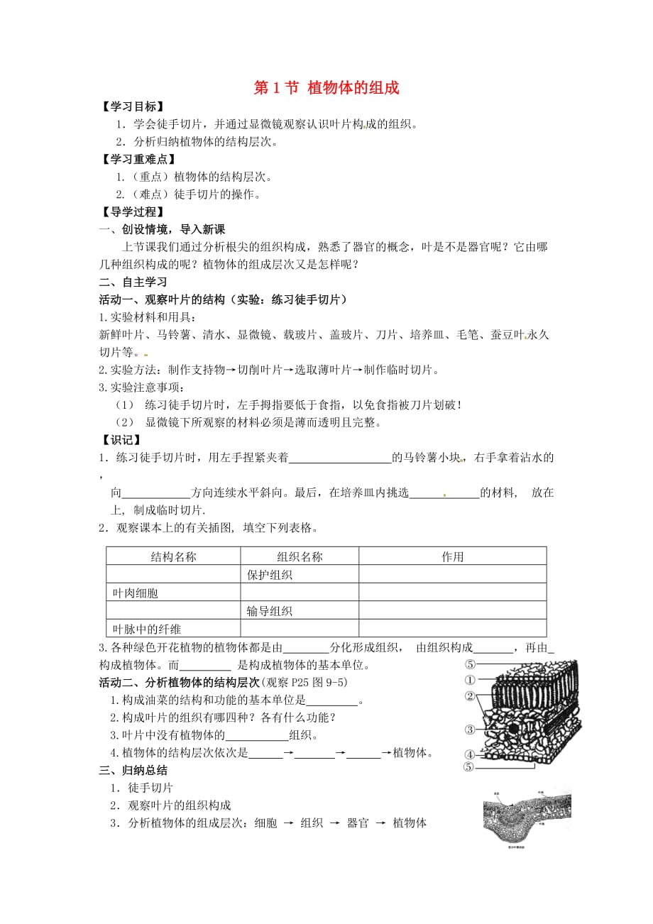 江苏省铜山区清华中学七年级生物下册 第9章 第1节 植物体的组成学案2（无答案） 苏科版_第1页