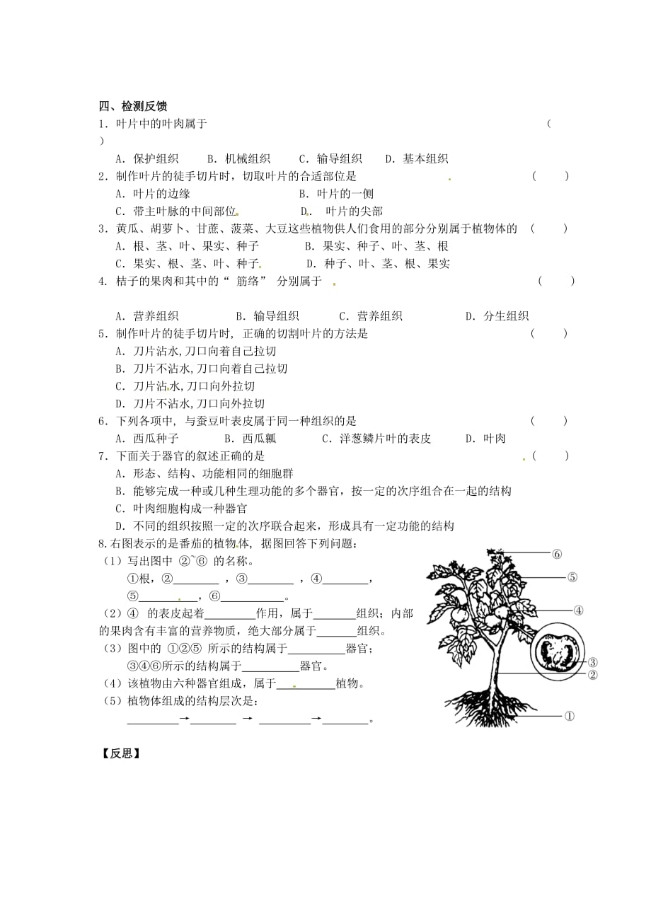 江苏省铜山区清华中学七年级生物下册 第9章 第1节 植物体的组成学案2（无答案） 苏科版_第2页