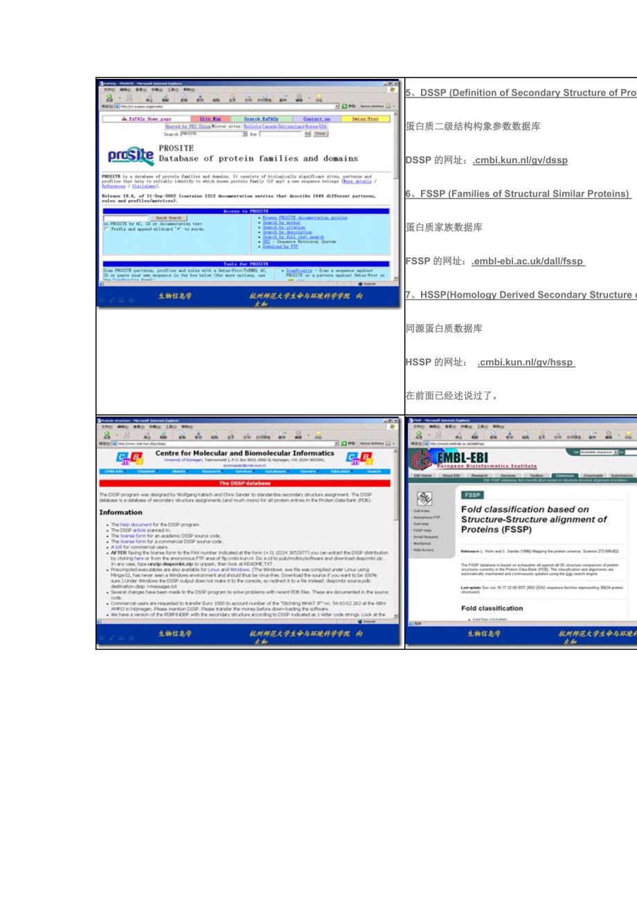 蛋白质数据库介绍_第4页