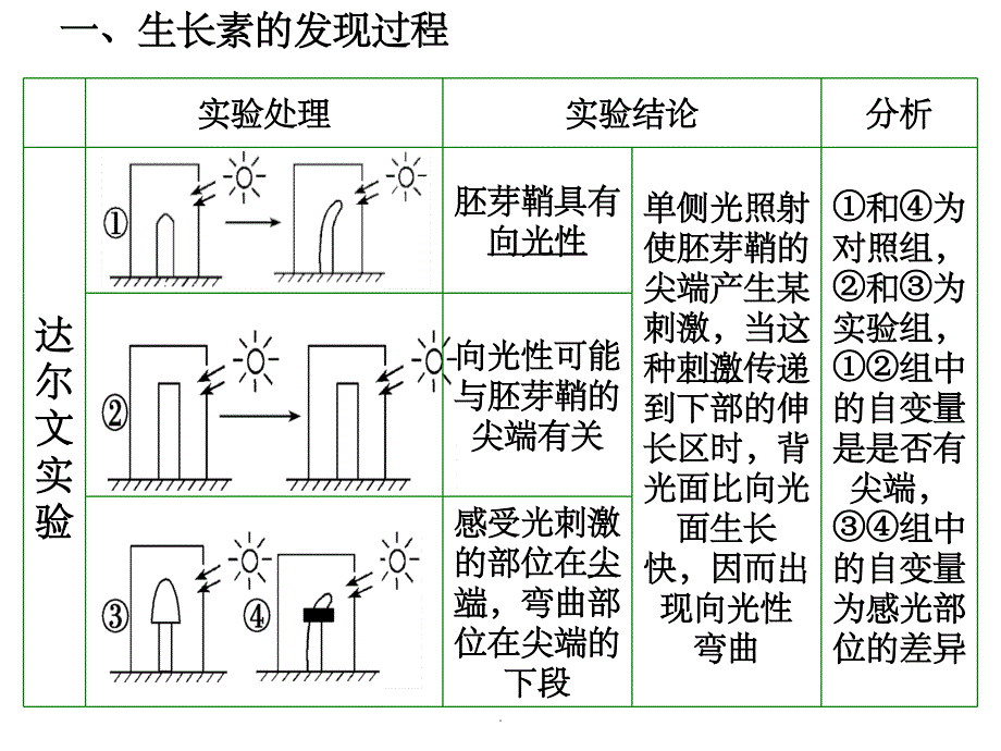 植物生长素(一轮复习)ppt课件_第2页