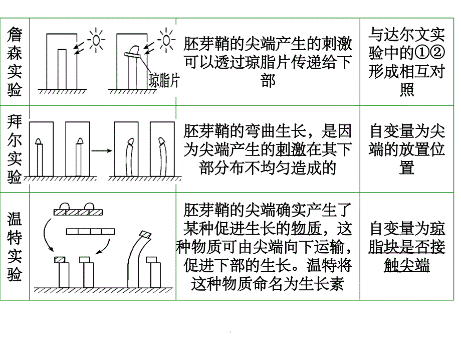 植物生长素(一轮复习)ppt课件_第3页