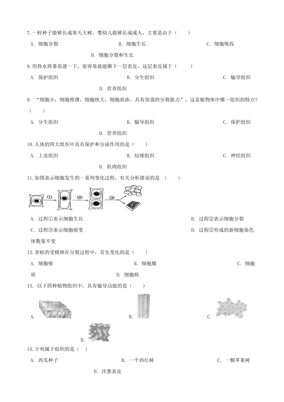 2020年中考生物 多细胞生物体的结构层次专题复习（无答案）_第2页