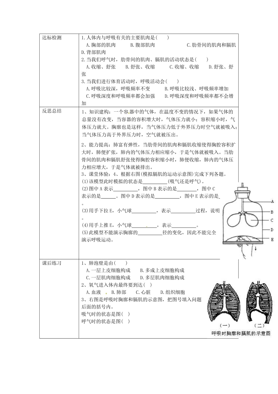 校七年级生物下册 4.3.2 发生在肺内的气体交换导学案（无答案）（新版）新人教版_第3页