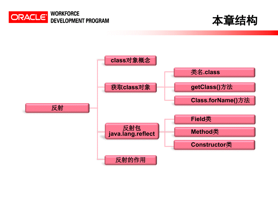 Java核心逻辑 反射PPT幻灯片_第4页