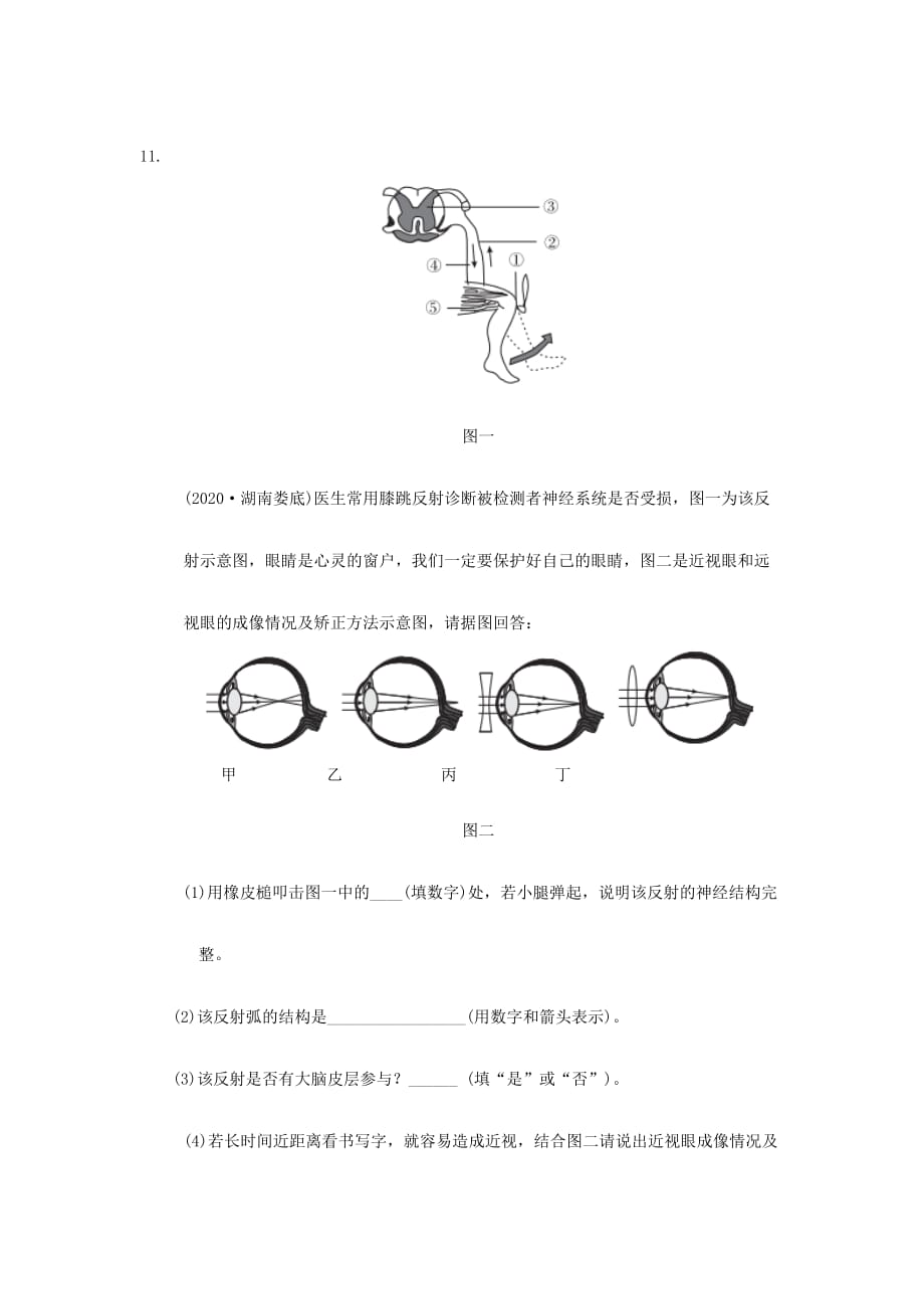 2020届中考生物一轮复习 第四单元 第六、七章 人体内生命活动的调节以及人类活动对生物圈的影响 新人教版_第4页