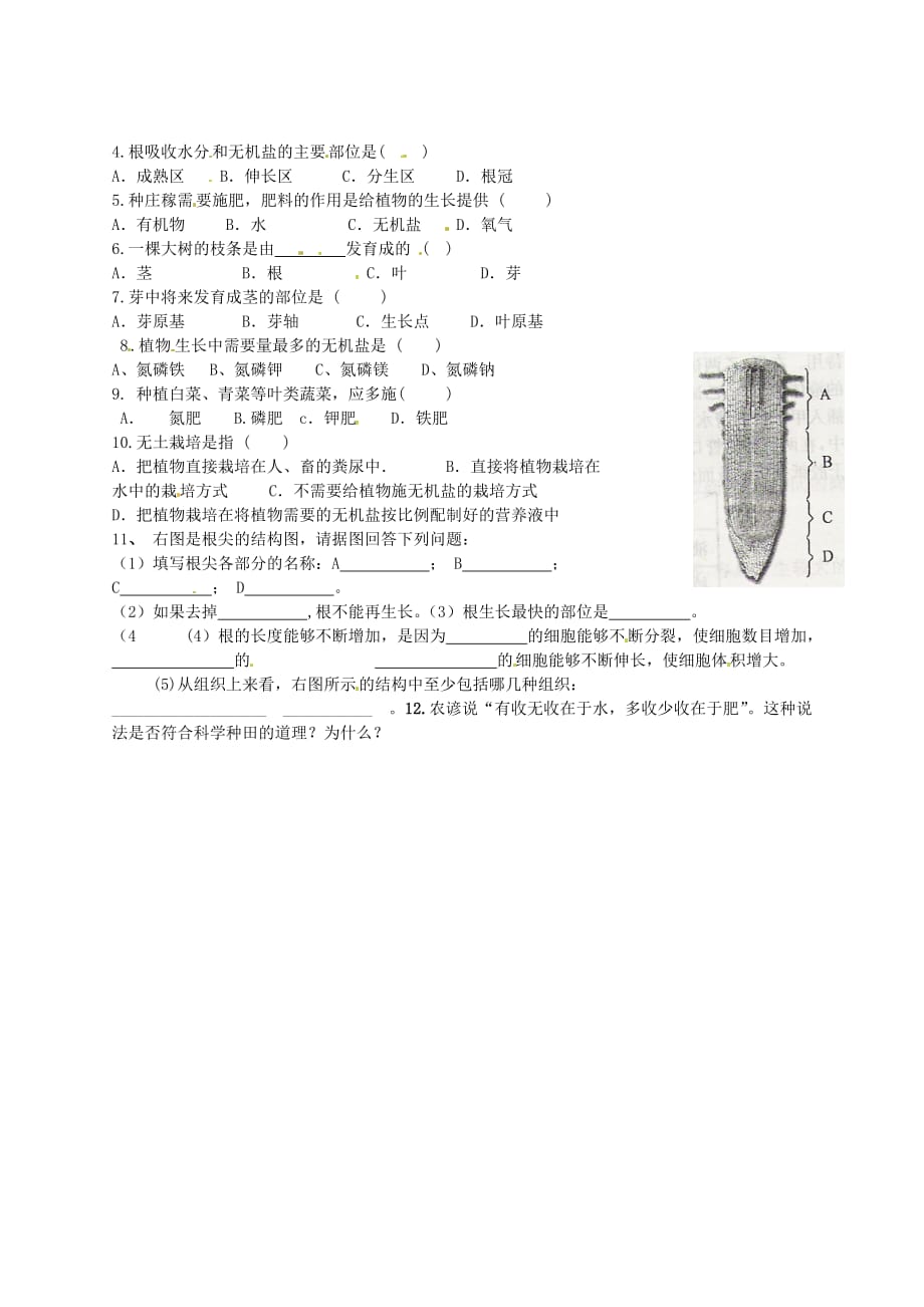 河北省平泉县第四中学七年级生物上册 3.2.2 植株的生长导学案（无答案）（新版）新人教版_第2页