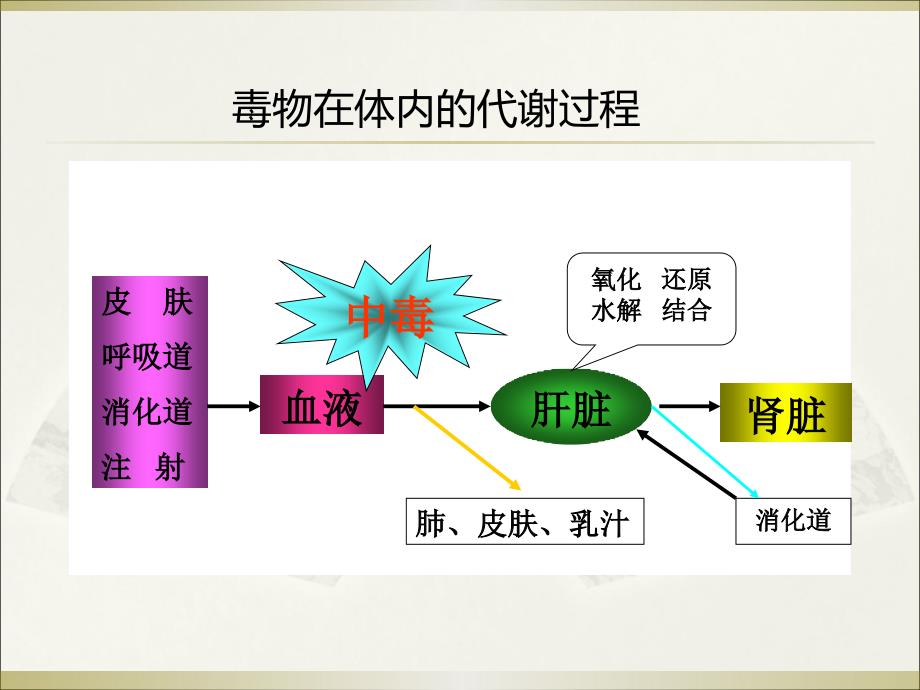 治疗中毒的循证医学实践ppt课件_第4页