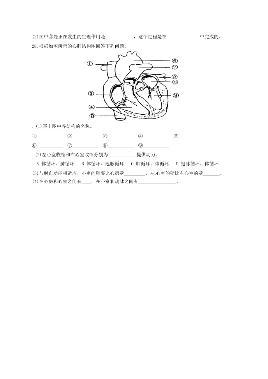 湖北省孝感市孝南区肖港镇肖港初级中学七年级生物下学期综合测试题8（无答案） 北师大版_第4页