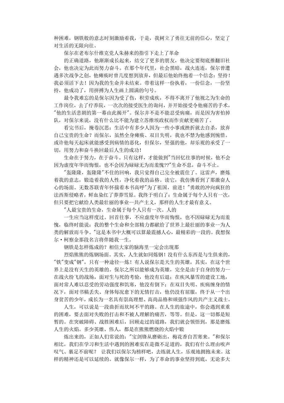 钢铁安全事故心得体会（11号）.pdf_第3页