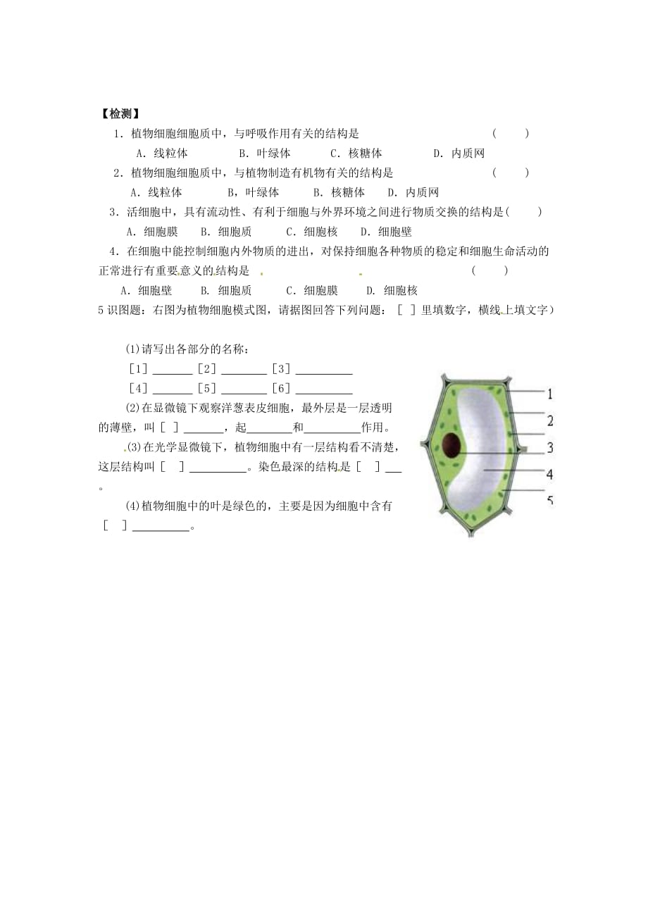 辽宁省辽阳市第九中学七年级生物上册《2.3.1 植物细胞的结构和功能》学案（无答案） 新人教版_第2页