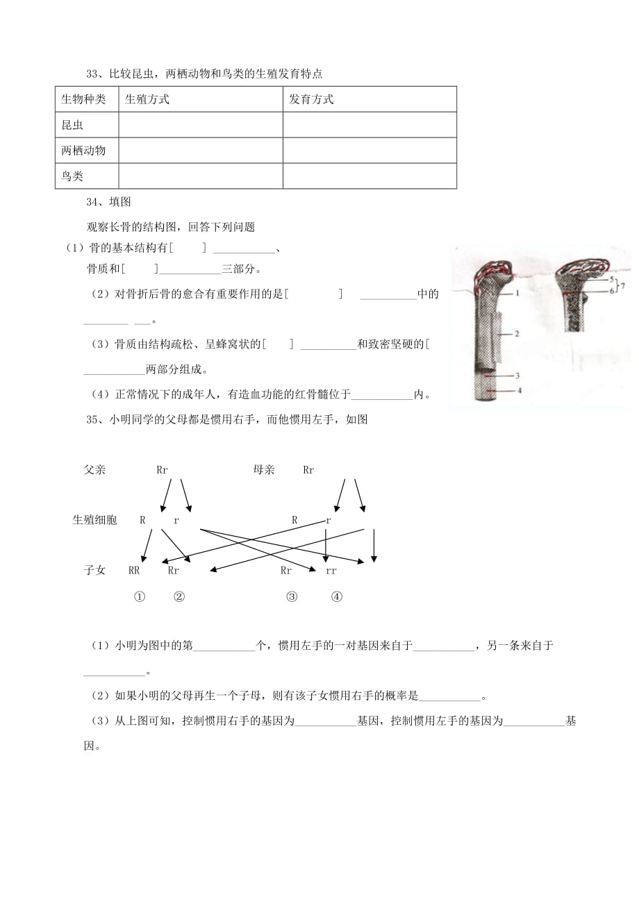 福建省龙岩市武平县十方中学2020学年八年级生物上学期期中测试试题（无答案） 新人教版_第4页