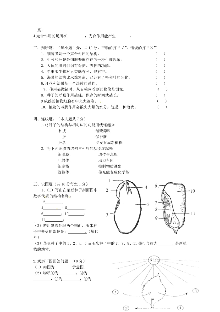 新疆巴州蒙古族高级中学2020学年七年级生物上学期期末考试试题（无答案）_第3页