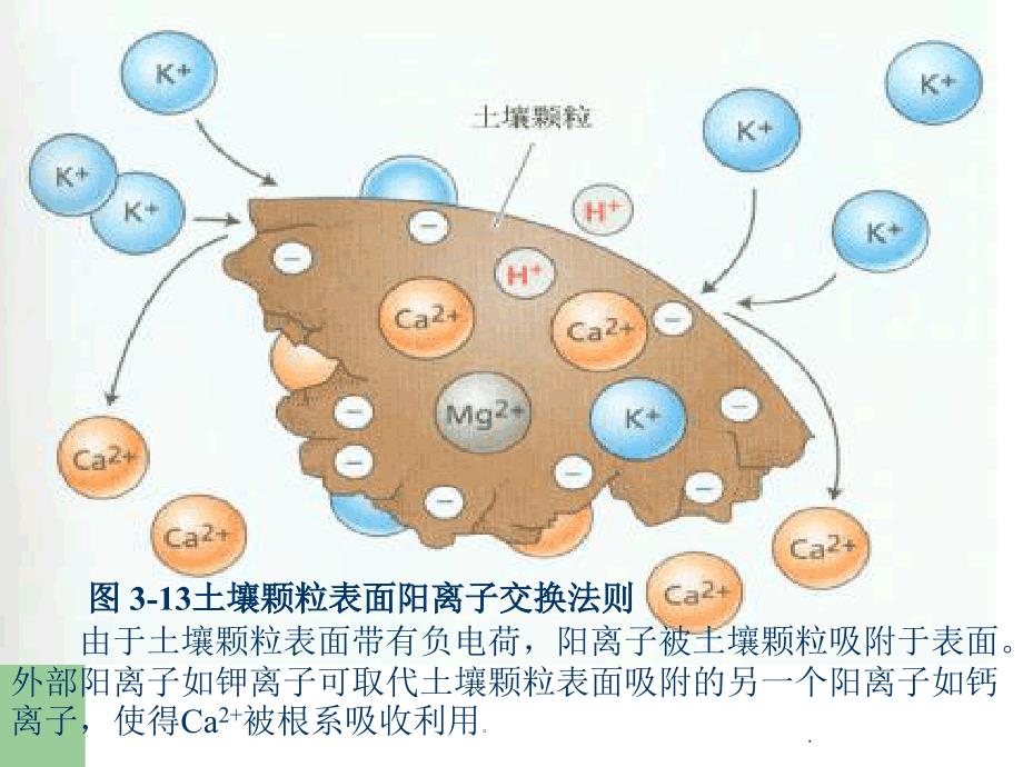 影响养分吸收的因素_第3页