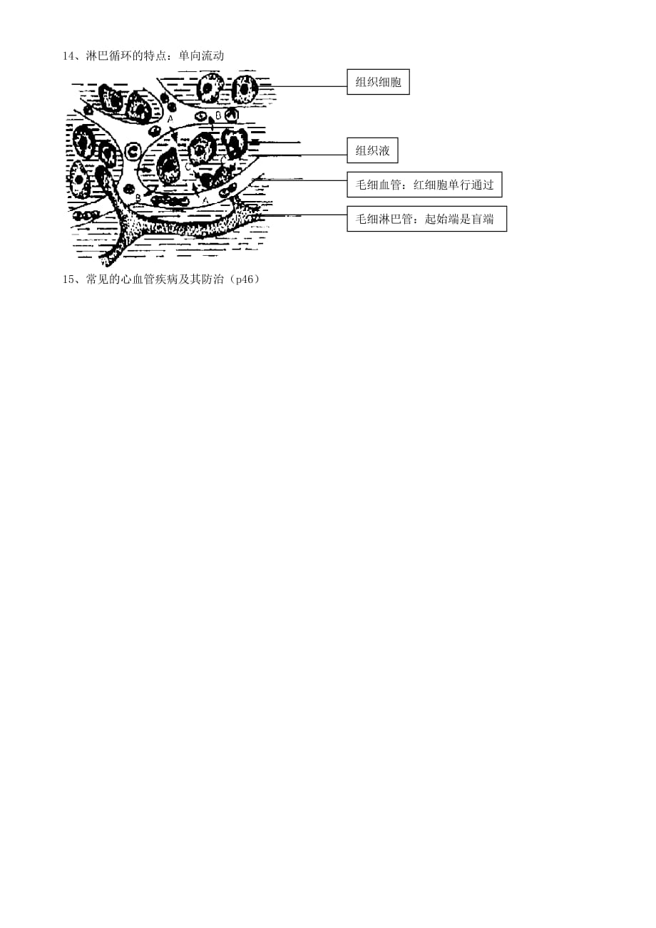 河北省承德市平安堡中学七年级生物《第一章与第二章》知识点总结复习_第4页